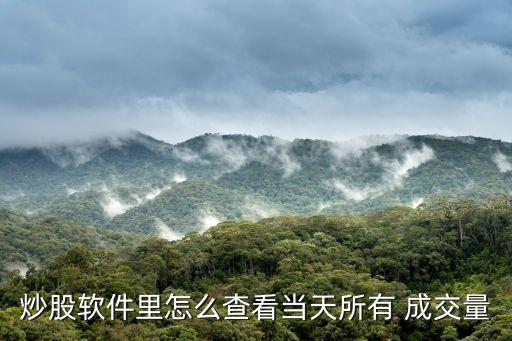 炒股軟件里怎么查看當天所有 成交量