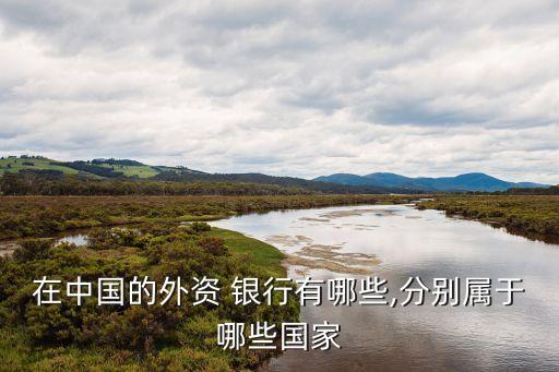 在中國的外資 銀行有哪些,分別屬于哪些國家