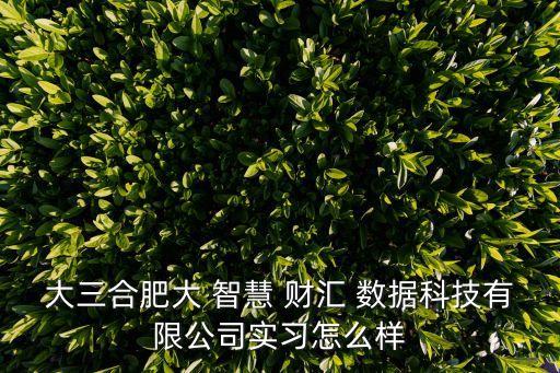 大三合肥大 智慧 財匯 數(shù)據科技有限公司實習怎么樣
