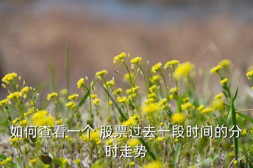如何查看一個(gè) 股票過去一段時(shí)間的分時(shí)走勢(shì)
