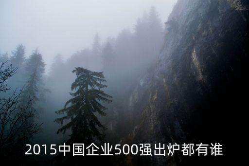 2015中國企業(yè)500強(qiáng)出爐都有誰