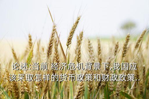 論述:當(dāng)前 經(jīng)濟(jì)危機(jī)背景下,我國(guó)應(yīng)該采取怎樣的貨幣政策和財(cái)政政策...