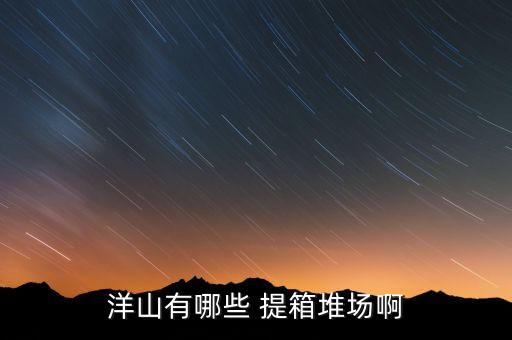 洋山有哪些 提箱堆場(chǎng)啊