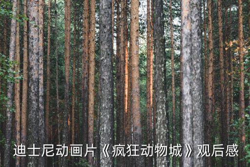  迪士尼動畫片《瘋狂動物城》觀后感