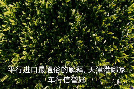 平行進(jìn)口最通俗的解釋, 天津港哪家車行信譽(yù)好