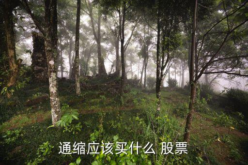 通縮應該買什么 股票