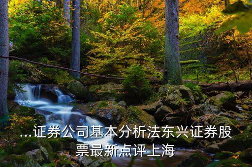 ...證券公司基本分析法東興證券股票最新點(diǎn)評(píng)上海