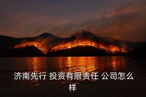  濟南先行 投資有限責(zé)任 公司怎么樣