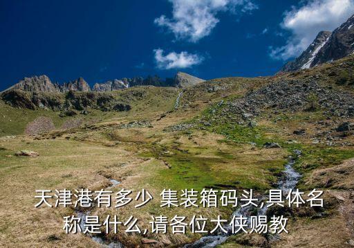  天津港有多少 集裝箱碼頭,具體名稱是什么,請(qǐng)各位大俠賜教