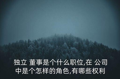 上市公司獨立董事報告