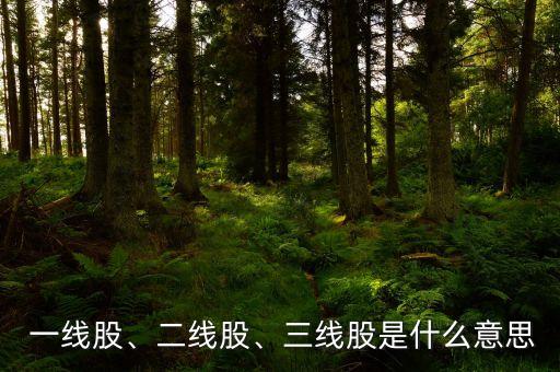  一線股、二線股、三線股是什么意思