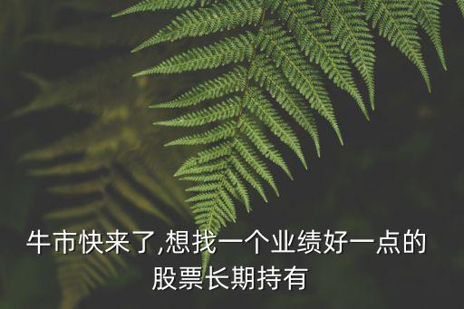 牛市快來了,想找一個(gè)業(yè)績(jī)好一點(diǎn)的 股票長(zhǎng)期持有