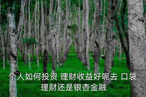 個人如何投資 理財(cái)收益好呢去 口袋 理財(cái)還是銀杏金融