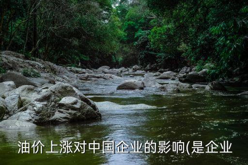  油價(jià)上漲對中國企業(yè)的影響(是企業(yè)