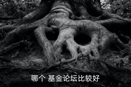 哪個(gè) 基金論壇比較好