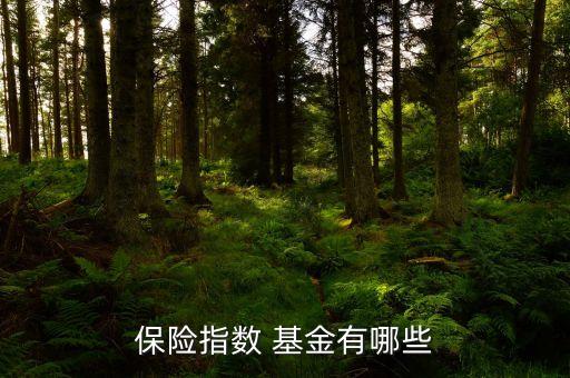保險指數(shù) 基金有哪些