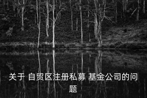 關于 自貿區(qū)注冊私募 基金公司的問題