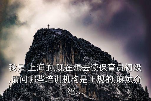 我是 上海的,現(xiàn)在想去讀保育員初級,請問哪些培訓機構是正規(guī)的,麻煩介紹...