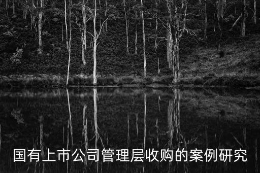 國有上市公司管理層收購的案例研究