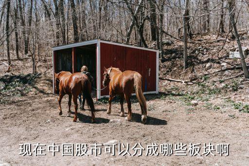 現在中國股市可以分成哪些板塊啊