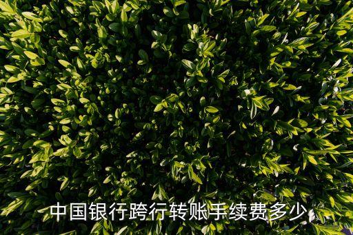  中國銀行跨行轉(zhuǎn)賬手續(xù)費(fèi)多少