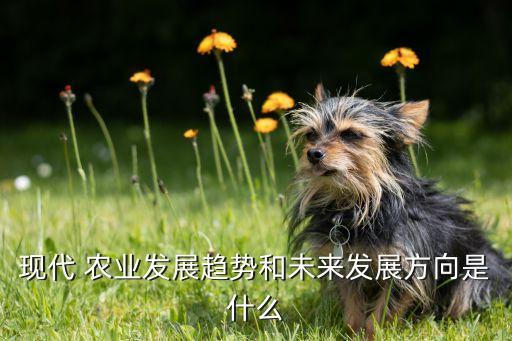 現(xiàn)代 農業(yè)發(fā)展趨勢和未來發(fā)展方向是什么