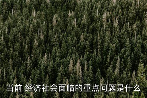 當(dāng)前 經(jīng)濟(jì)社會(huì)面臨的重點(diǎn)問(wèn)題是什么