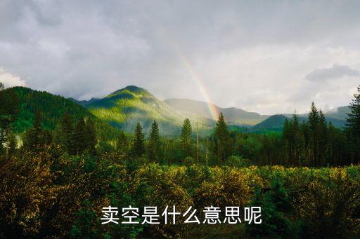  賣(mài)空是什么意思呢