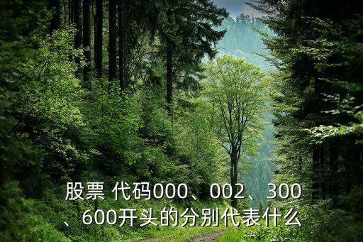  股票 代碼000、002、300、600開頭的分別代表什么