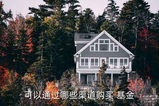 可以通過(guò)哪些渠道購(gòu)買(mǎi) 基金