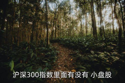 上海a股小盤(pán)股,a股羅素小盤(pán)股的標(biāo)準(zhǔn)