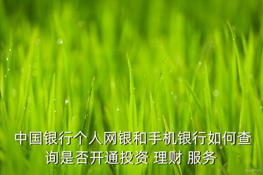  中國銀行個人網(wǎng)銀和手機(jī)銀行如何查詢是否開通投資 理財 服務(wù)