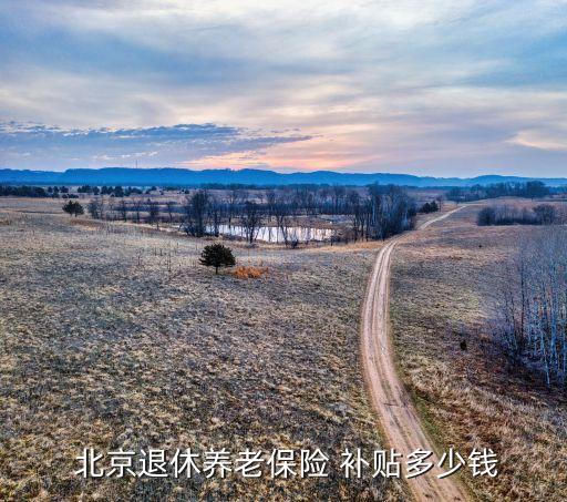 北京社會保險補(bǔ)貼,北京靈活就業(yè)人員社會保險補(bǔ)貼