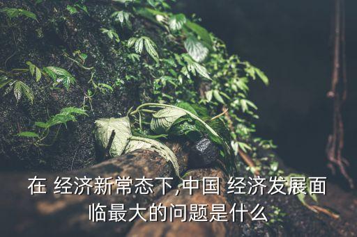 在 經(jīng)濟(jì)新常態(tài)下,中國(guó) 經(jīng)濟(jì)發(fā)展面臨最大的問(wèn)題是什么