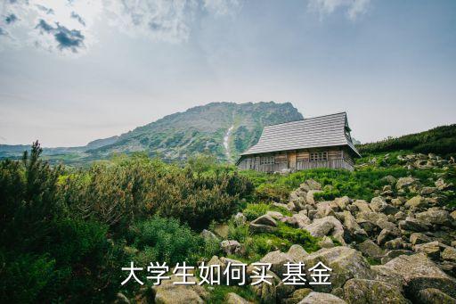 大學(xué)生如何買(mǎi) 基金