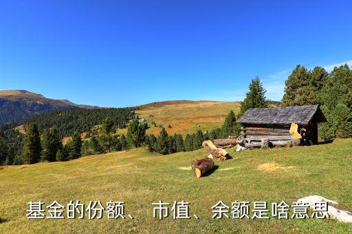  基金的份額、 市值、余額是啥意思
