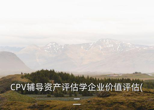 CPV輔導(dǎo)資產(chǎn)評估學(xué)企業(yè)價值評估(二