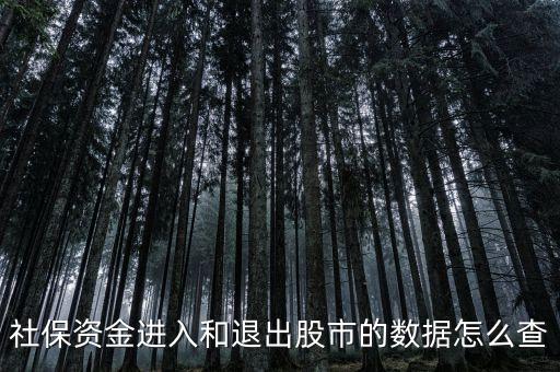 社保資金進入和退出股市的數(shù)據(jù)怎么查