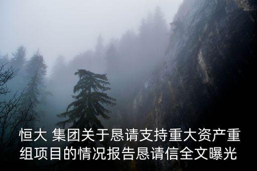  恒大 集團關于懇請支持重大資產(chǎn)重組項目的情況報告懇請信全文曝光