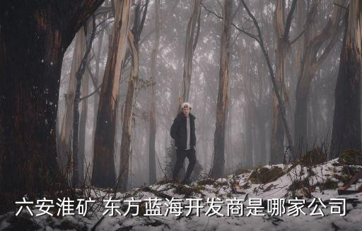 六安淮礦 東方藍海開發(fā)商是哪家公司