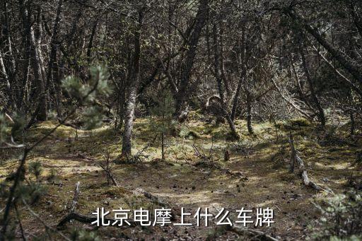 北京電動車型號