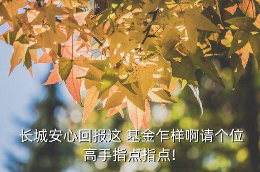  長城安心回報這 基金乍樣啊請個位高手指點指點!
