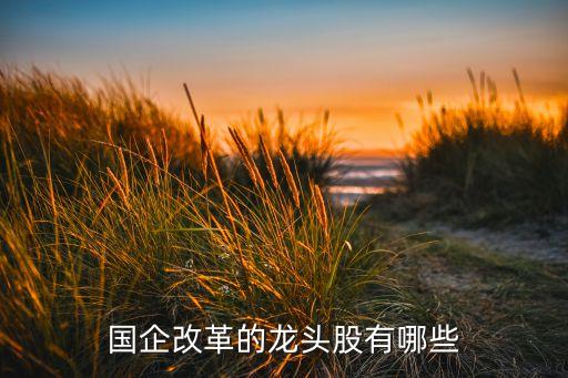 國企改革的龍頭股有哪些