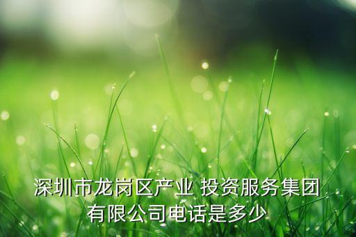  深圳市龍崗區(qū)產(chǎn)業(yè) 投資服務(wù)集團(tuán) 有限公司電話(huà)是多少