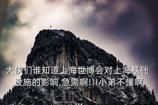 大俠們誰知道上海世博會對上?；A 設施的影響,急需啊!!!小弟不懂啊...