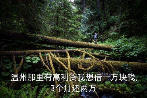  溫州那里有高利貸我想借一萬(wàn)塊錢(qián),3個(gè)月還兩萬(wàn)