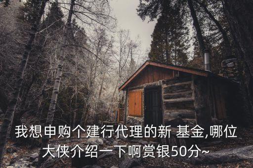 我想申購個建行代理的新 基金,哪位大俠介紹一下啊賞銀50分~