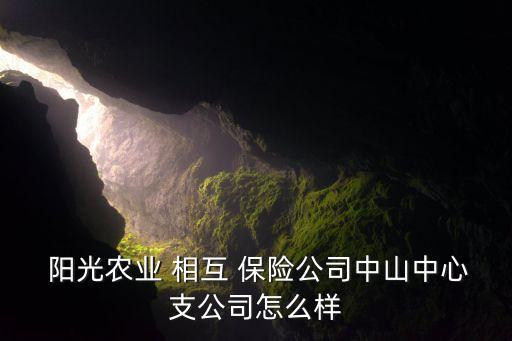陽光農(nóng)業(yè)相互保險(xiǎn)公司運(yùn)行情況調(diào)研,黑龍江陽光農(nóng)業(yè)相互保險(xiǎn)公司