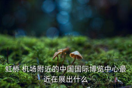 虹橋 機場附近的中國國際博覽中心最近在展出什么