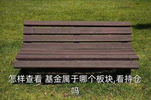 怎樣查看 基金屬于哪個板塊,看持倉嗎
